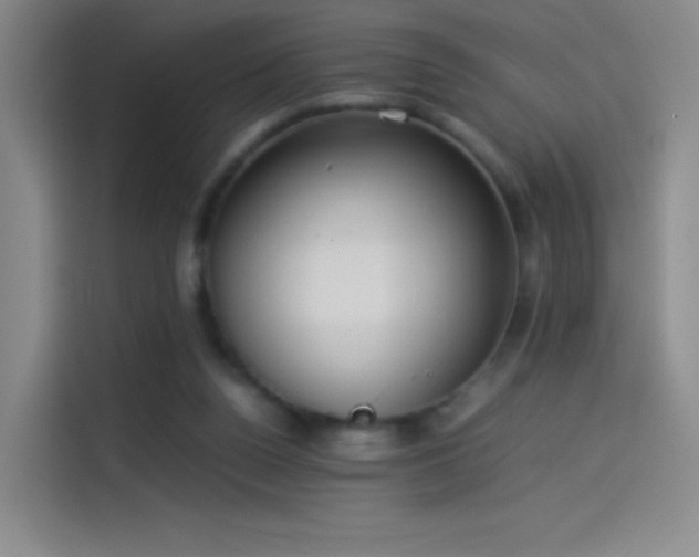 X0000114060160200910131152