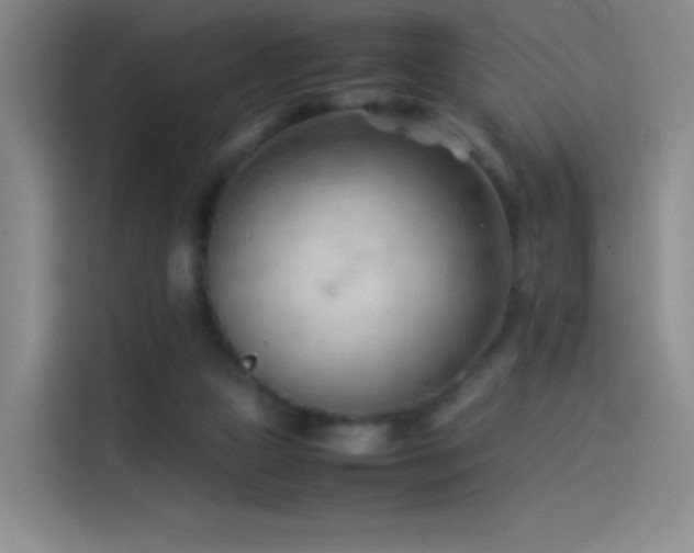 X0000114060161200910131152