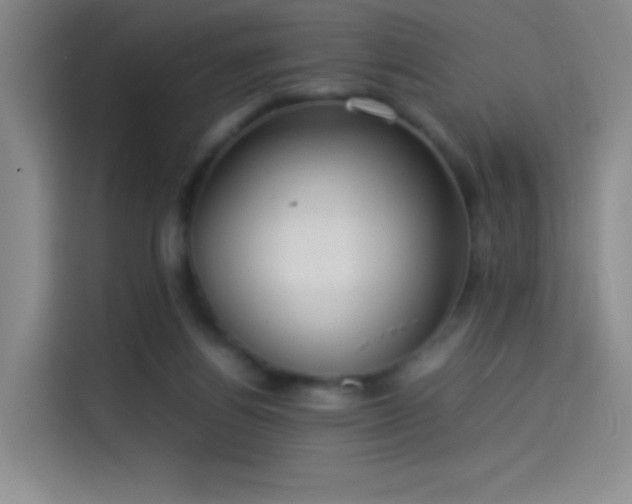 X0000114060164200910131152