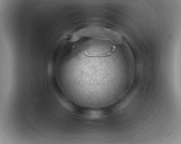 X0000114060165200910131152