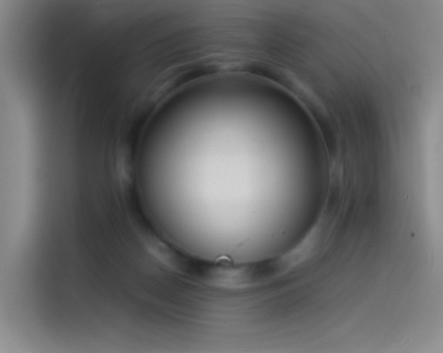 X0000114060170200910131153