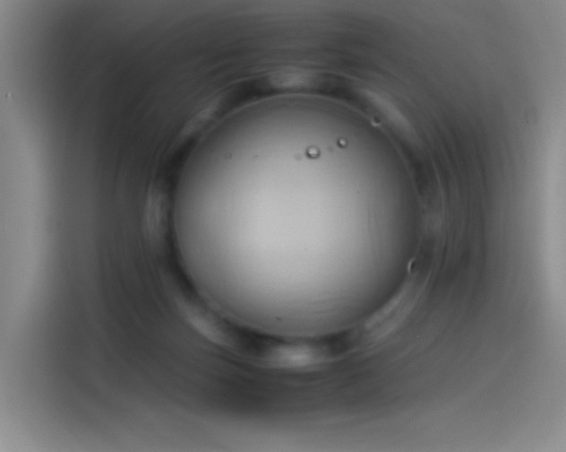 X0000114060171200910131153