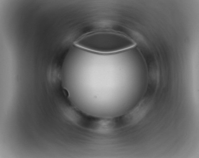 X0000114060172200910131153