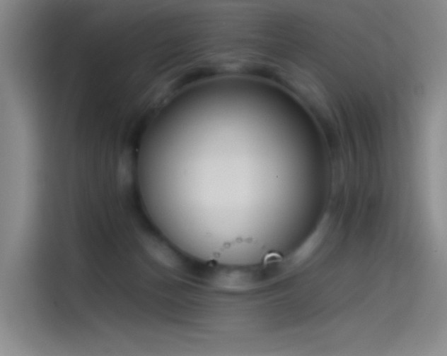 X0000114060174200910131153