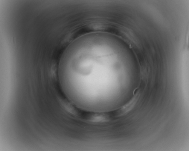 X0000114060175200910131153