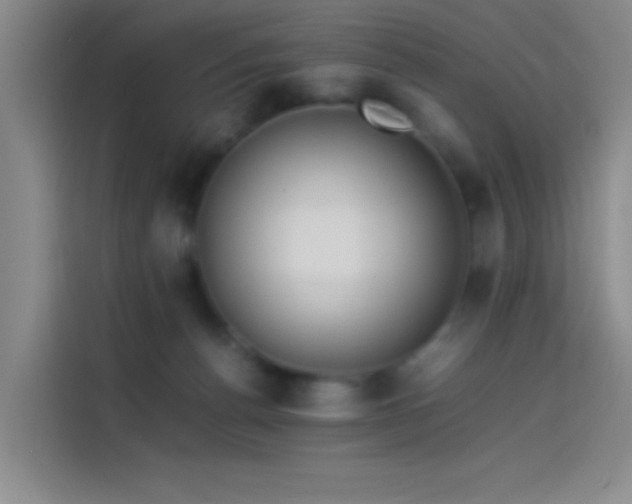 X0000114060176200910131153