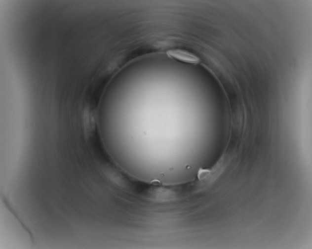 X0000114060180200910131153