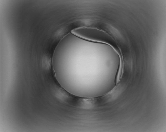 X0000114060188200910131153