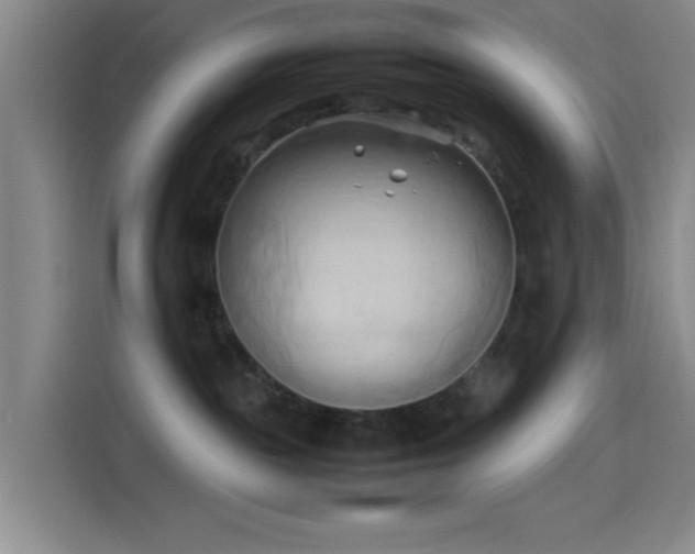 X0000114060189200910131153