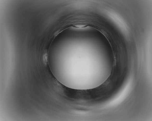 X0000114060190200910131153