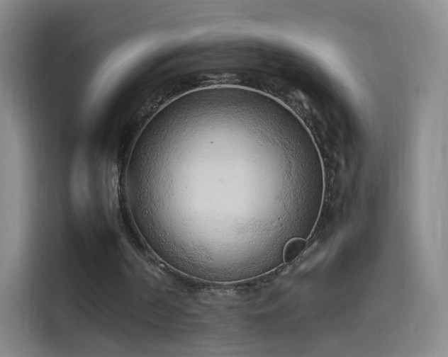 X0000114060194200910131152