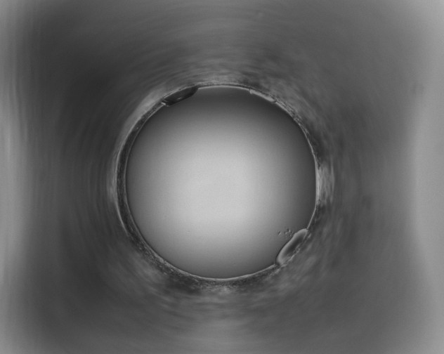 X0000114060195200910131152