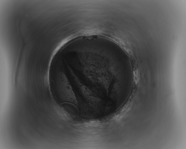 X0000114060196200910131152