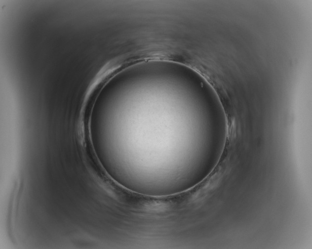 X0000114060198200910131152