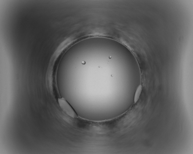 X0000114060199200910131152