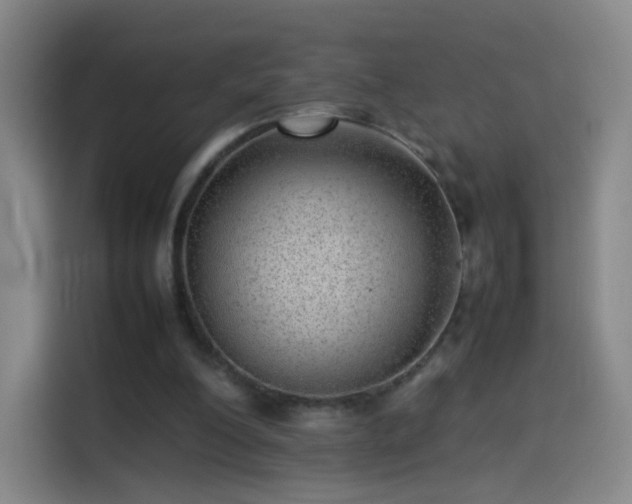 X0000114060200200910131152