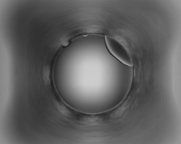 X0000114060201200910131152