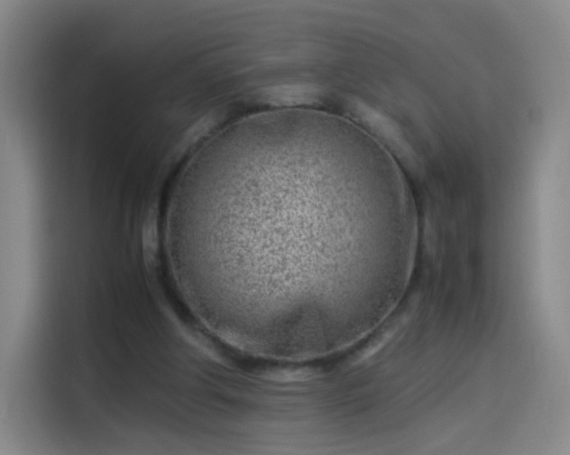 X0000114060202200910131152