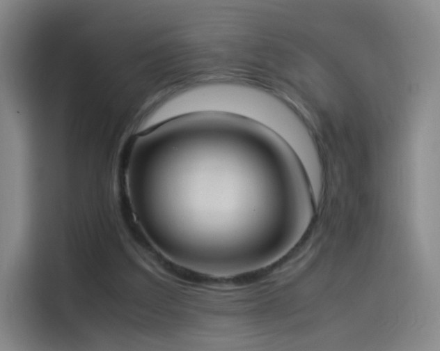 X0000114060203200910131152