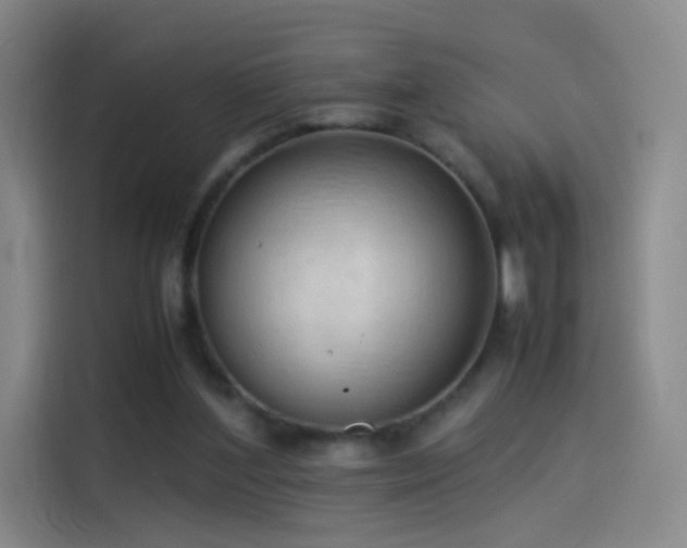 X0000114060204200910131152