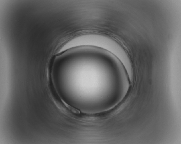 X0000114060205200910131152