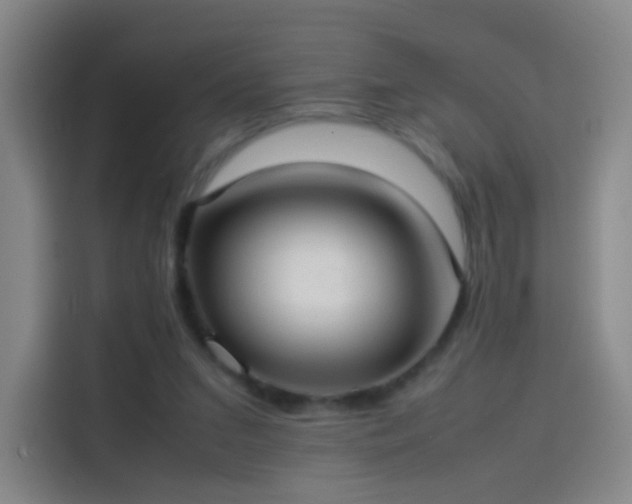 X0000114060207200910131152