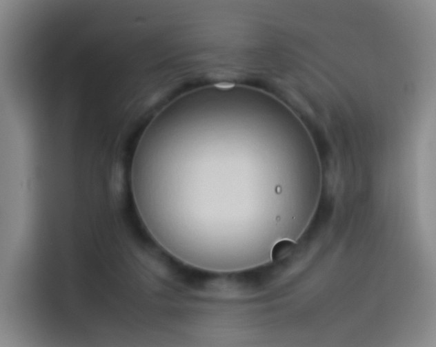 X0000114060211200910131152