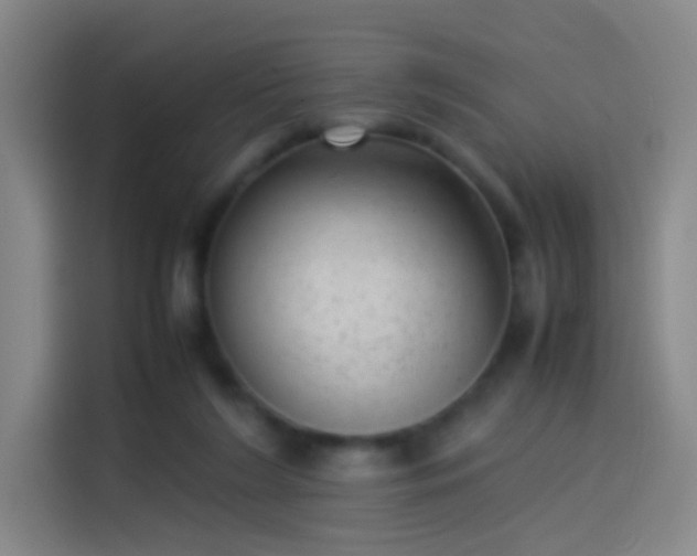 X0000114060212200910131152