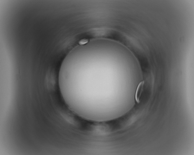 X0000114060215200910131152