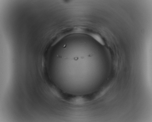 X0000114060219200910131152