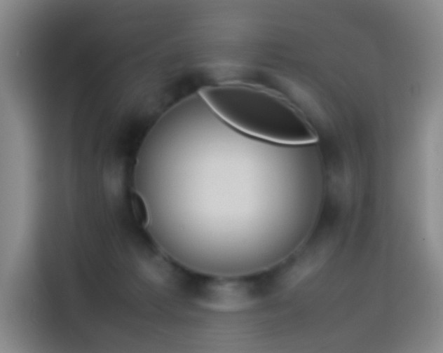 X0000114060221200910131152