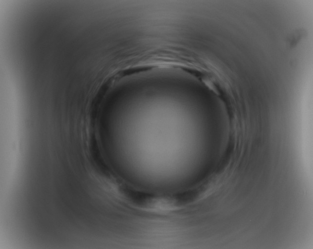 X0000114060223200910131152