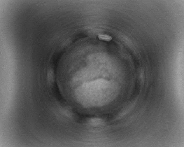 X0000114060224200910131152