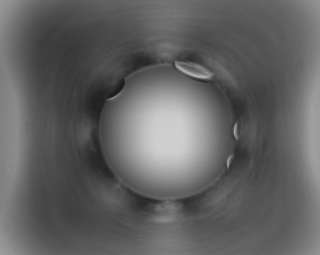 X0000114060225200910131152