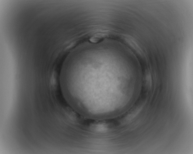 X0000114060228200910131152