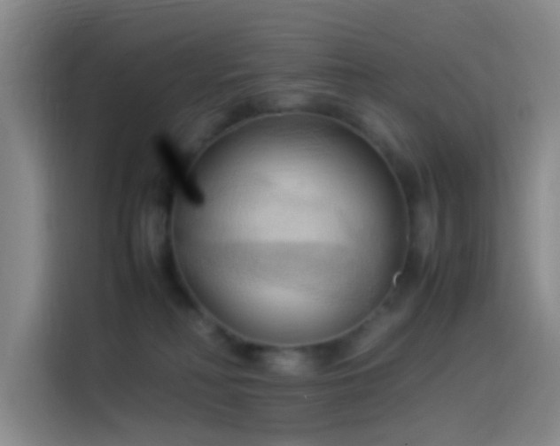 X0000114060230200910131152