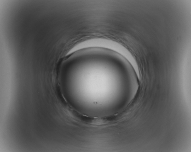 X0000114060231200910131152