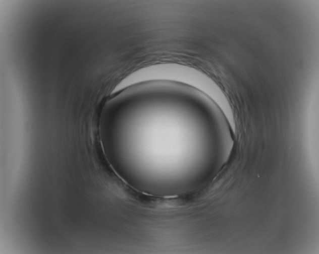 X0000114060235200910131152