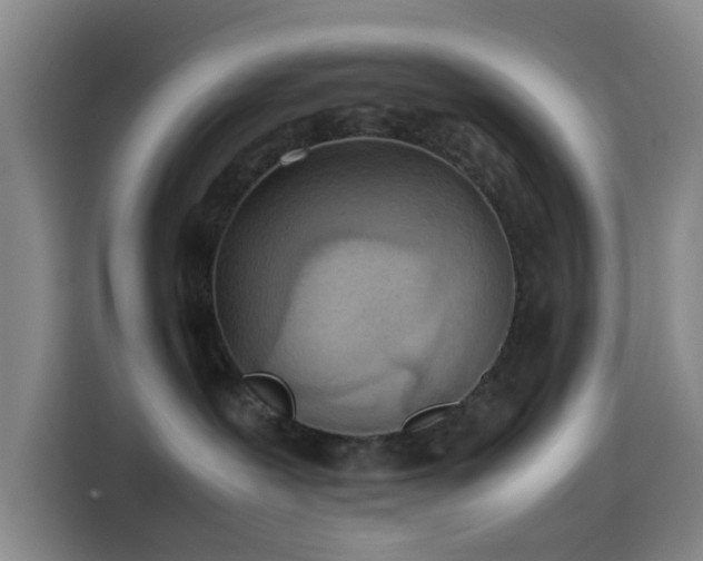 X0000114060239200910131152