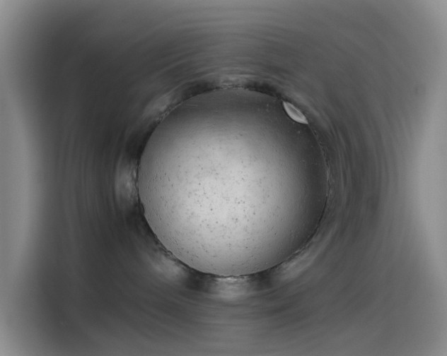 X0000114060240200910131152