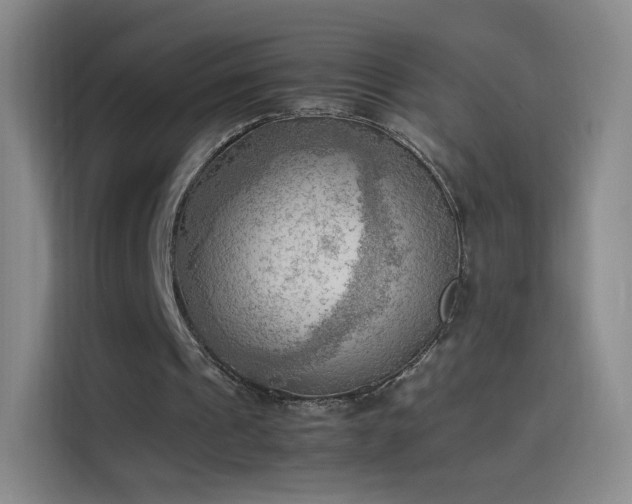 X0000114060241200910131151