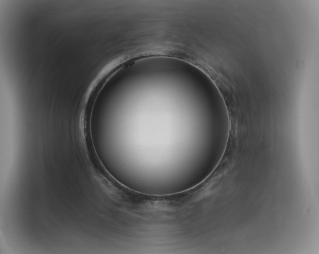 X0000114060244200910131151