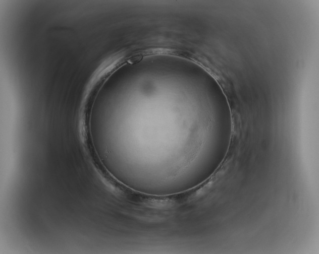 X0000114060245200910131151