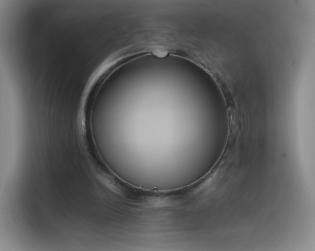 X0000114060246200910131151