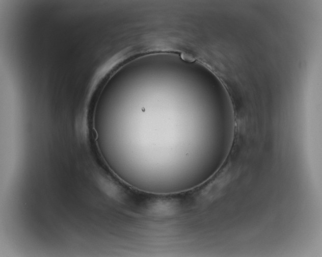 X0000114060248200910131151