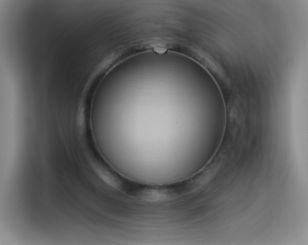 X0000114060250200910131151