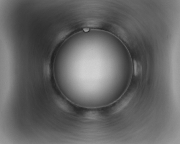 X0000114060252200910131151