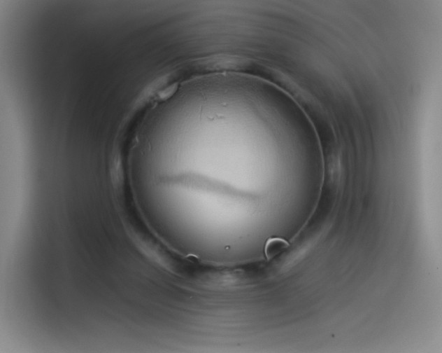 X0000114060254200910131151