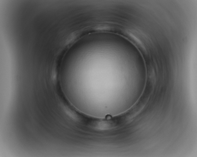 X0000114060261200910131151