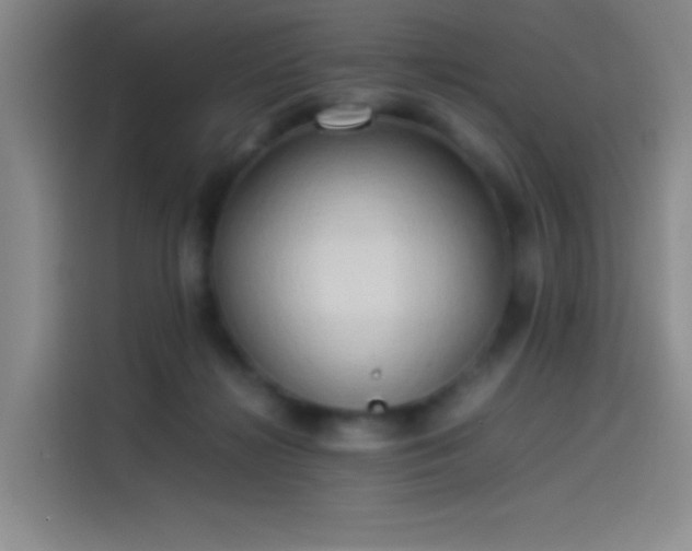 X0000114060268200910131151